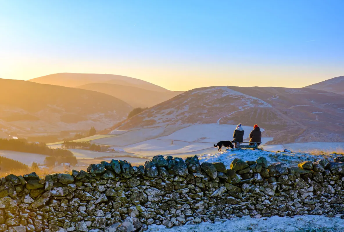 Why vitamin D is vital in autumn and winter article image