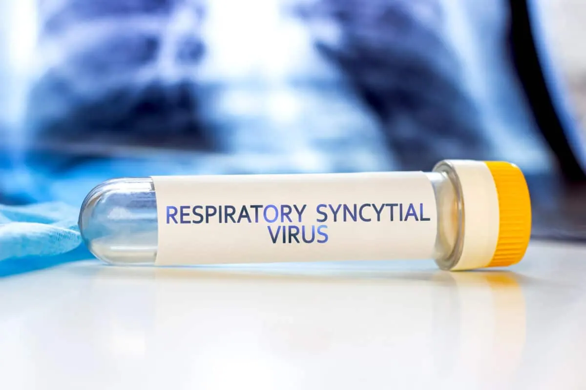 RSV VACCINE article image